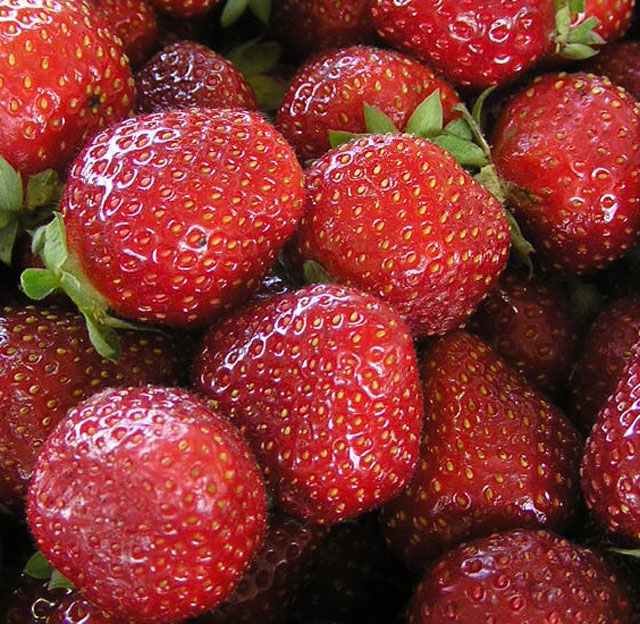 fraises